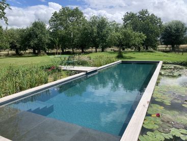 pool-in-belgian-country-garden 1