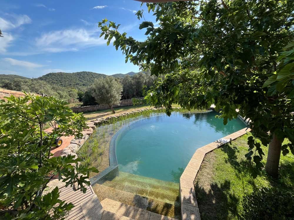 Biopool met toegangstrap en plantenzone in een mediterrane tuin