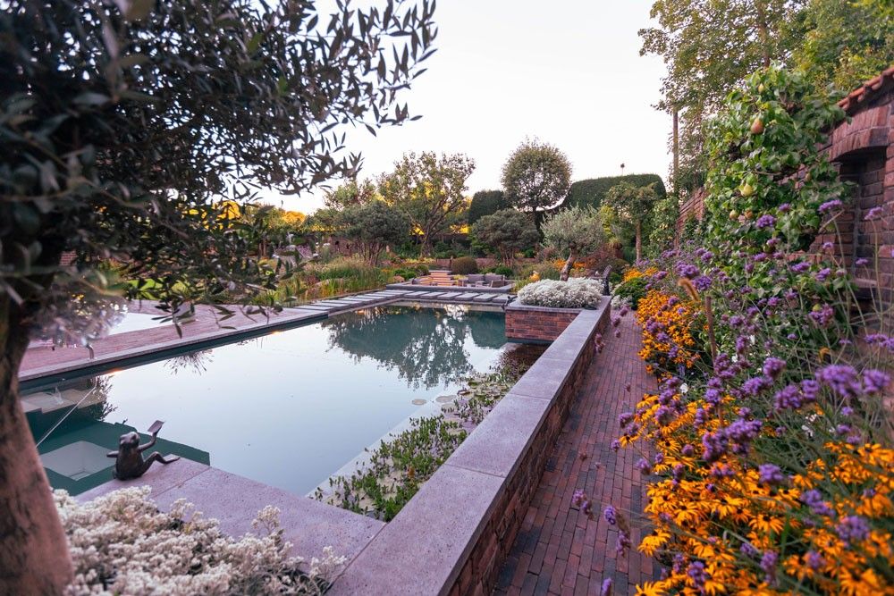 The Biotop Design Award 2025 met de 2e plaats van de mooiste levende vijvers