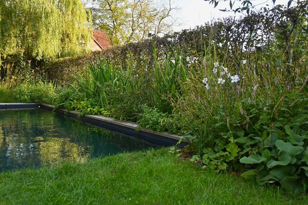Detail van een natuurzwembad met weelderige beplanting langs de badrand