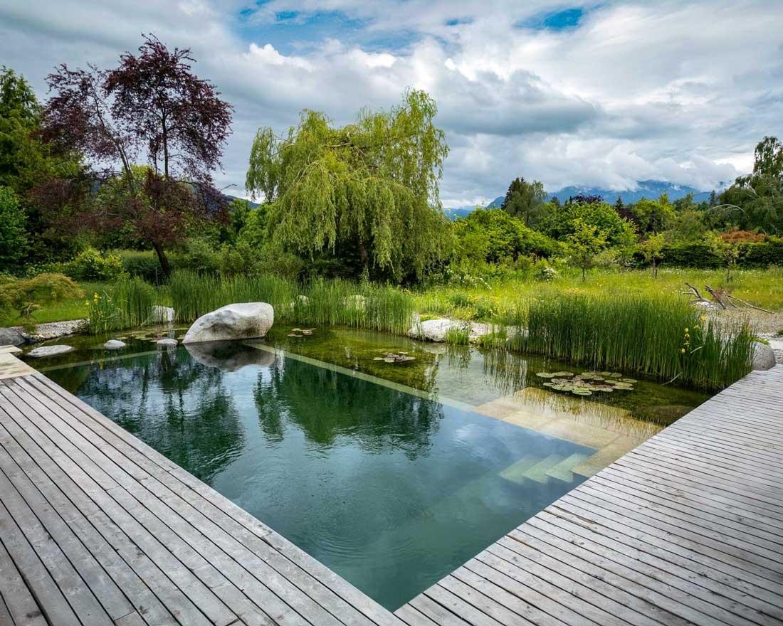 Natuurzwembad met houten terras, riet en uitzicht op de bergen