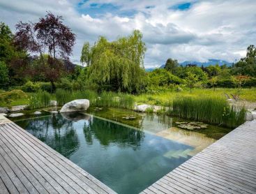 Natuurzwembad met houten terras, riet en uitzicht op de bergen
