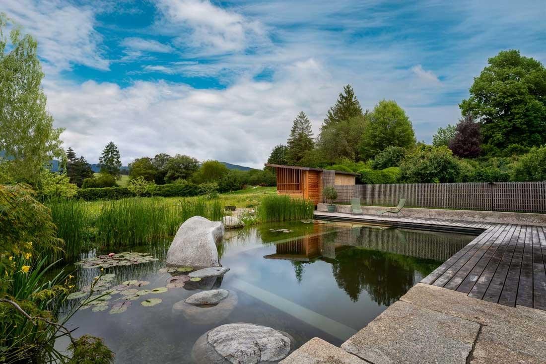 Natuurzwembad met rietzone houten terras en tuinhuis in open landschap