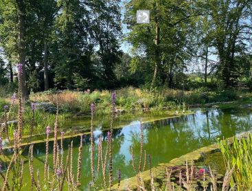 Natuurlijke Biotop zwemvijver met weelderige oeverbeplanting