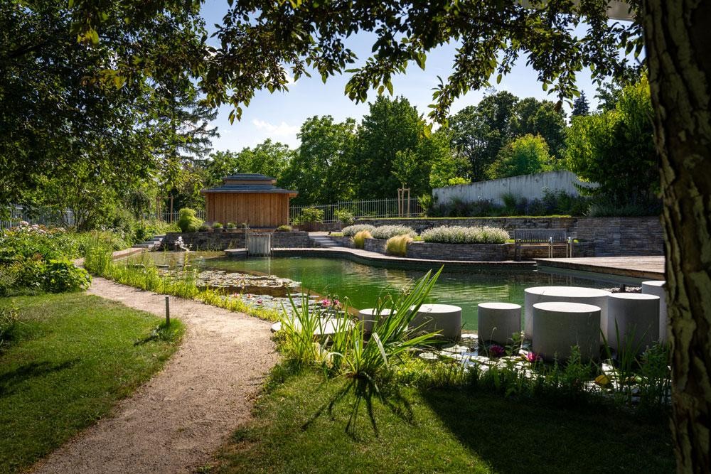 Biotop zwemvijver met waterlelies stapstenen en aangelegde tuin