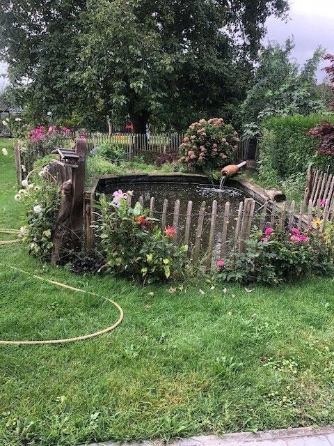 Kleine natuurlijke vijver met bloemen, houten hek en waterinlaat