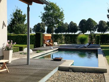 Converting a Koi Pond in Deutschland into a Living Pool