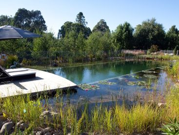 natural pool for B&B in Australia