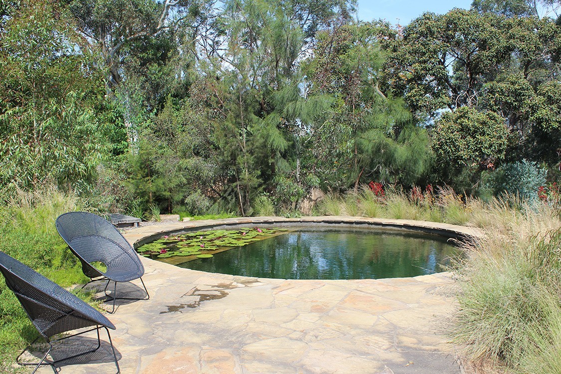 natural pool in Australia with green glass tiles