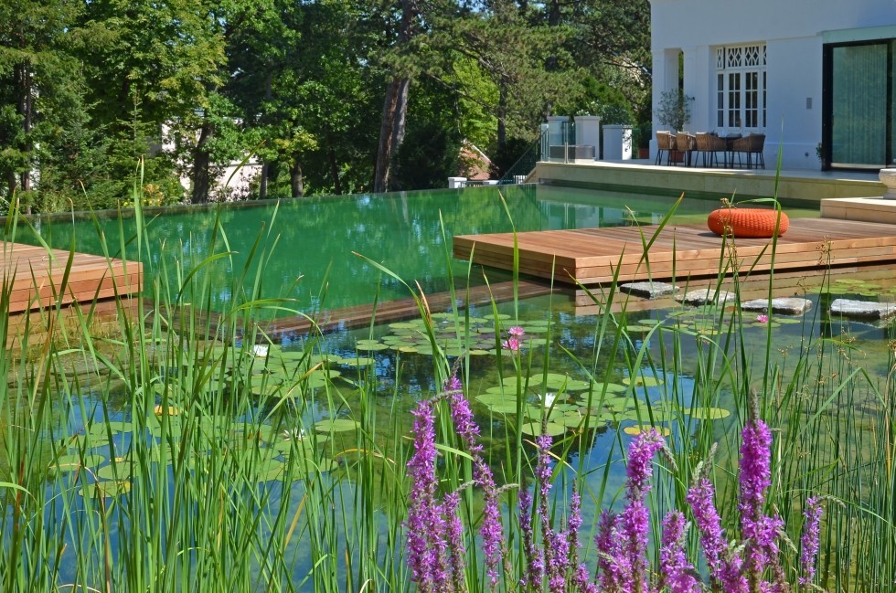 natural pool exclusive design in Vienna