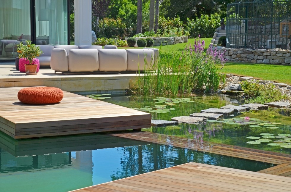 natural pool exclusive design in Vienna