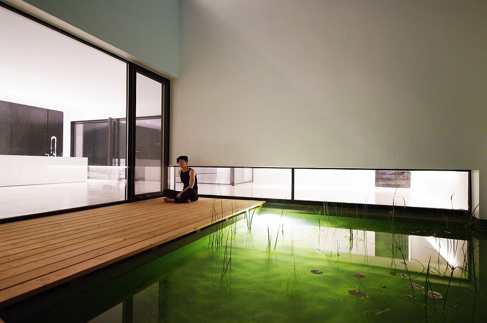 natural pool exclusive in futuristic design