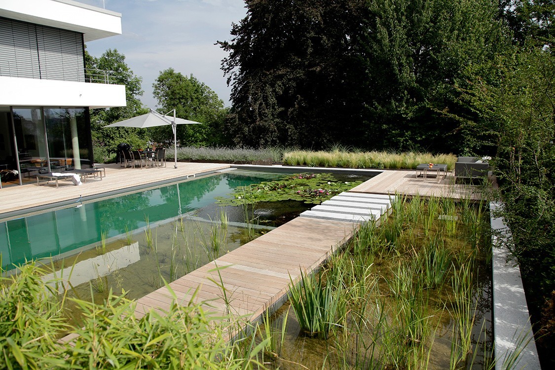 natural pool in Germany in reflecting pool style