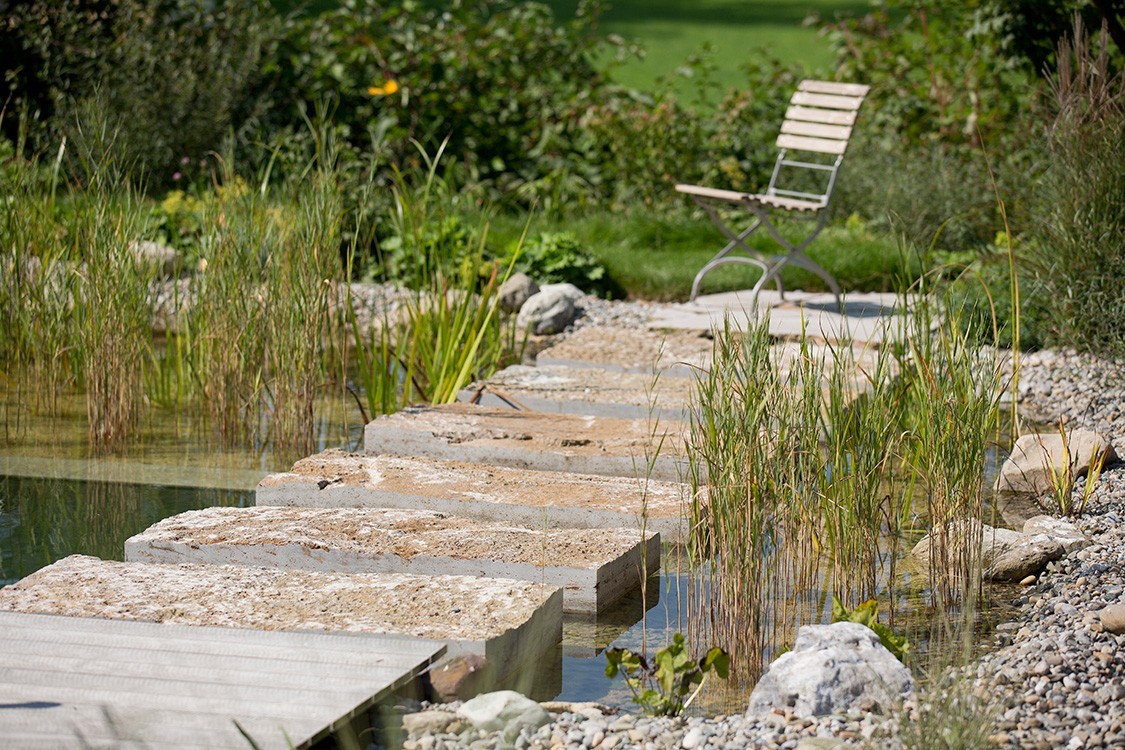 natural pool in traditional and modern design