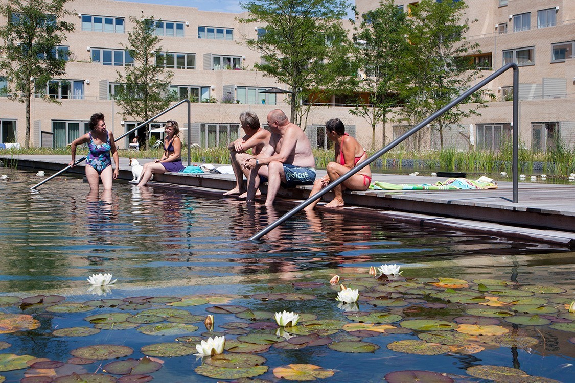 communal natural pool in apartment complex