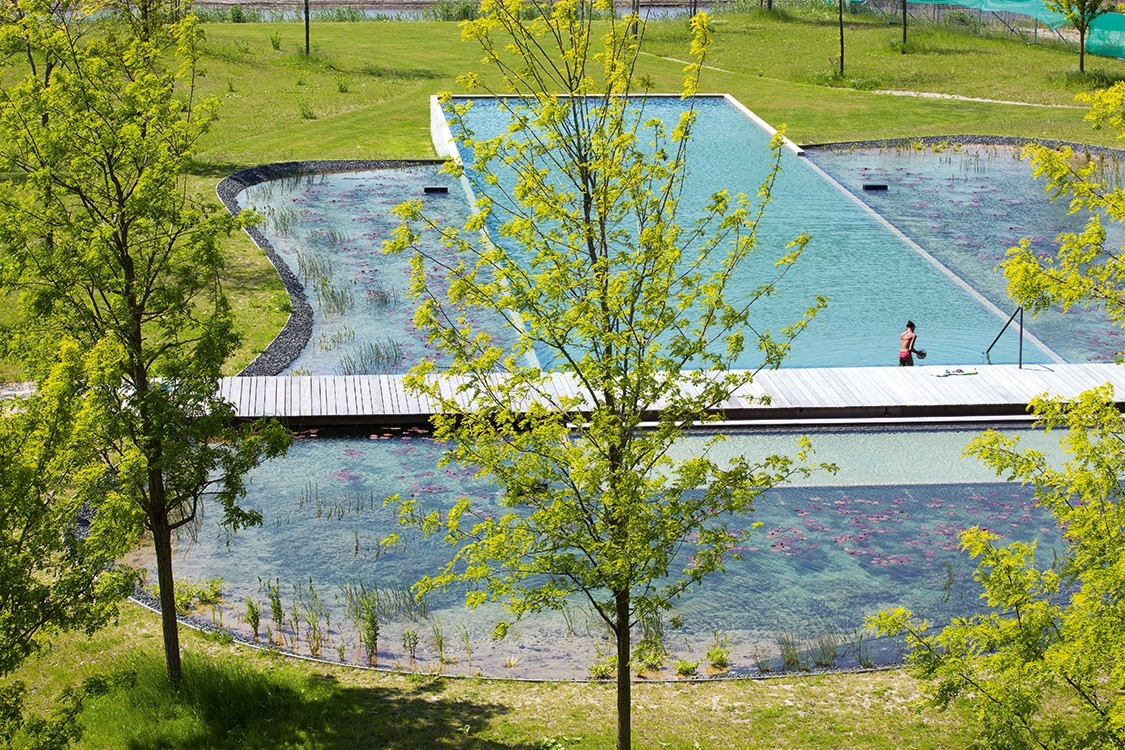 communal natural pool in apartment complex