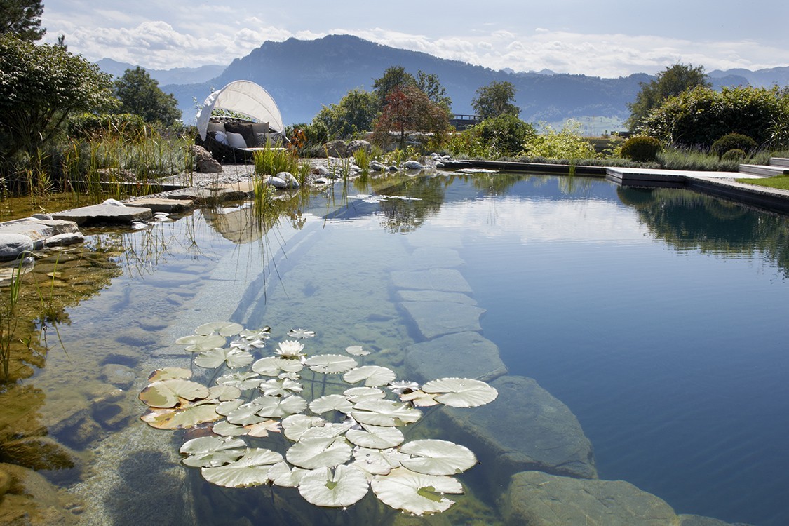 Natural Pool in Switzerland with a Harmonious Garden Concept
