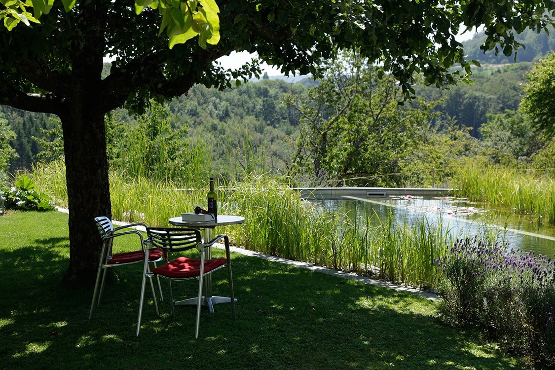 natural pool in switzerland rises social contact