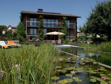 natural pool in switzerland rises social contact