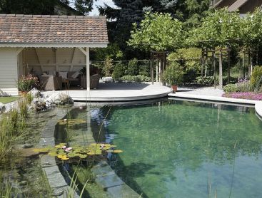 Natural Pool in Switzerland with Unconventional Design Ideas