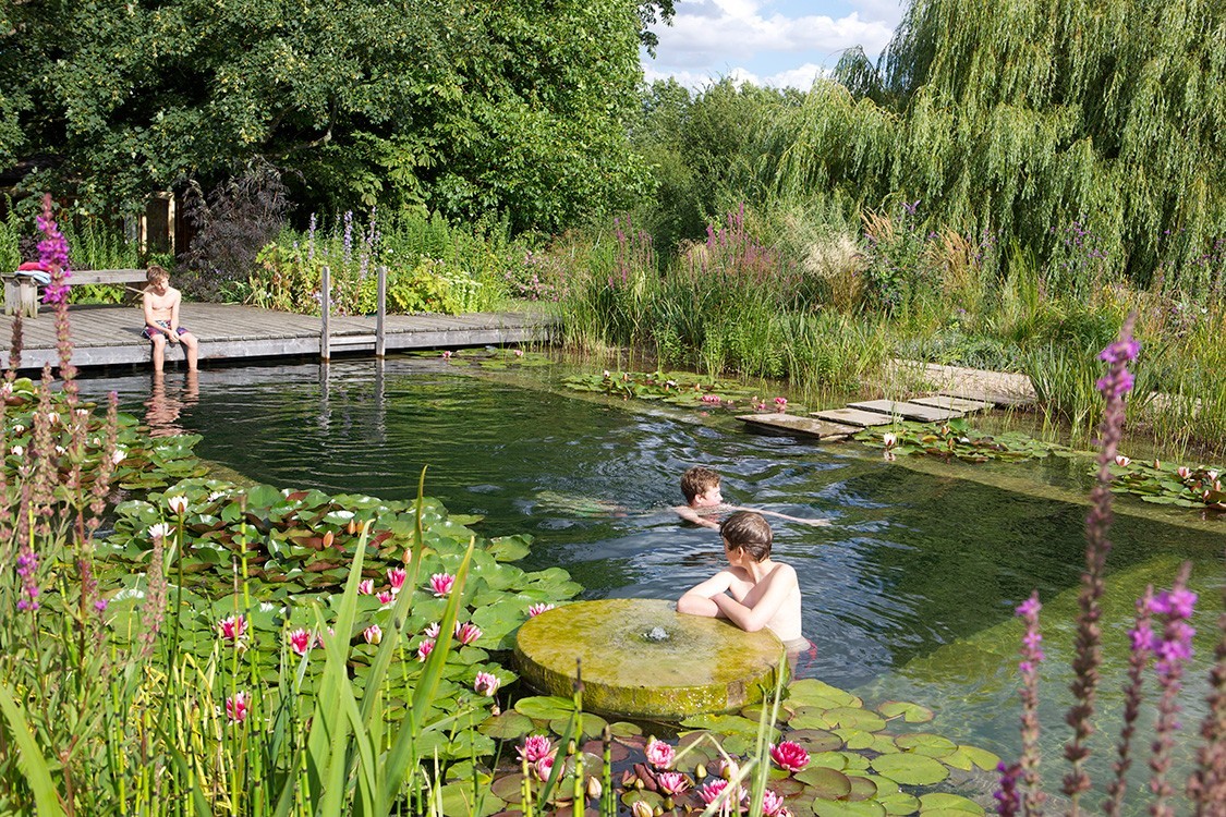 Natural Pool in UK  beneath weeping willow