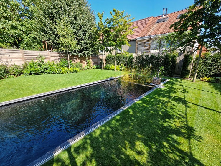 natuurlijk zwembad in de achtertuin met kleine regeneratiezone