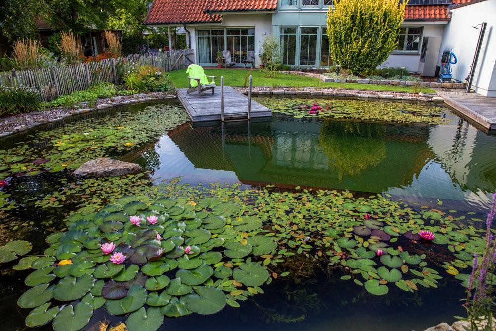 Natuurlijk zwembad met waterlelies houten steiger en tuin bij het huis