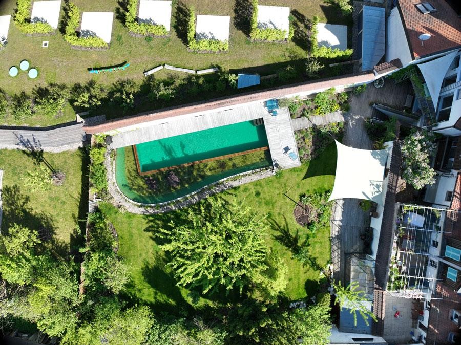 Natuurlijke zwemvijver van boven met houten dek en natuurtuin