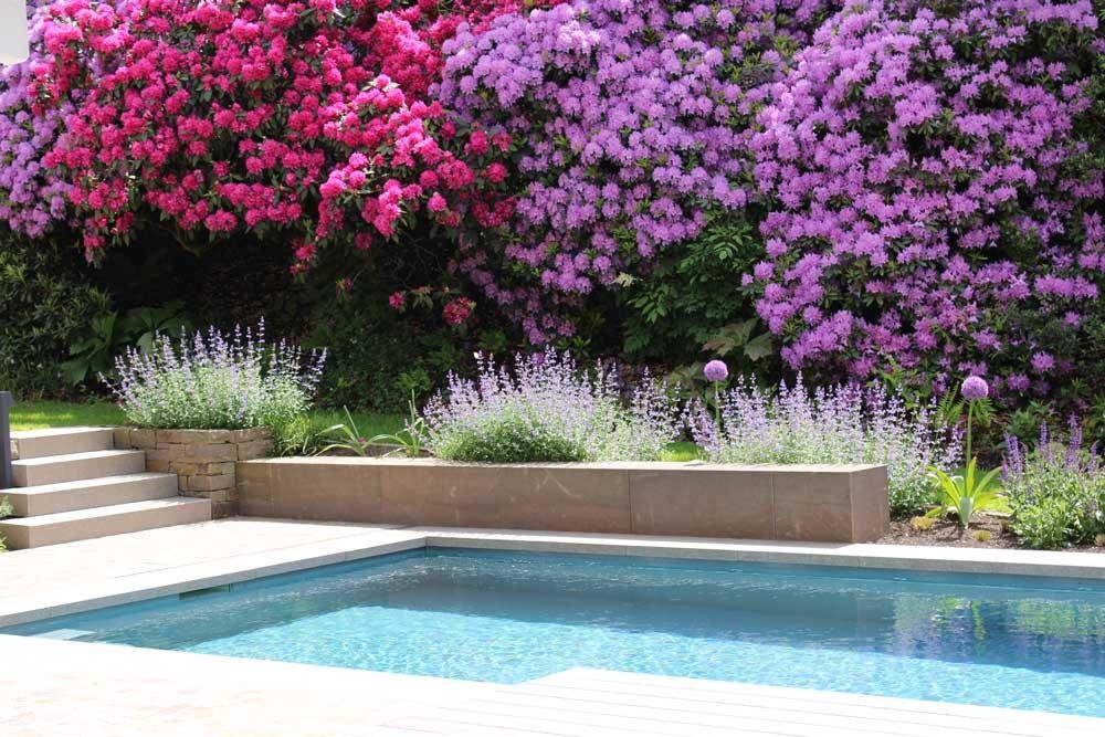 Natuurpool bij het huis met houten terras en bloeiende tuin