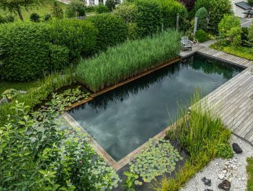 Natuurzwembad met houten terras