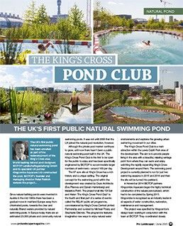 The King's Cross Pond Club
