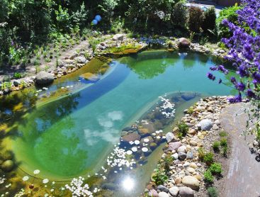 Renovatie en omvorming van een zwemvijver met stenen en planten