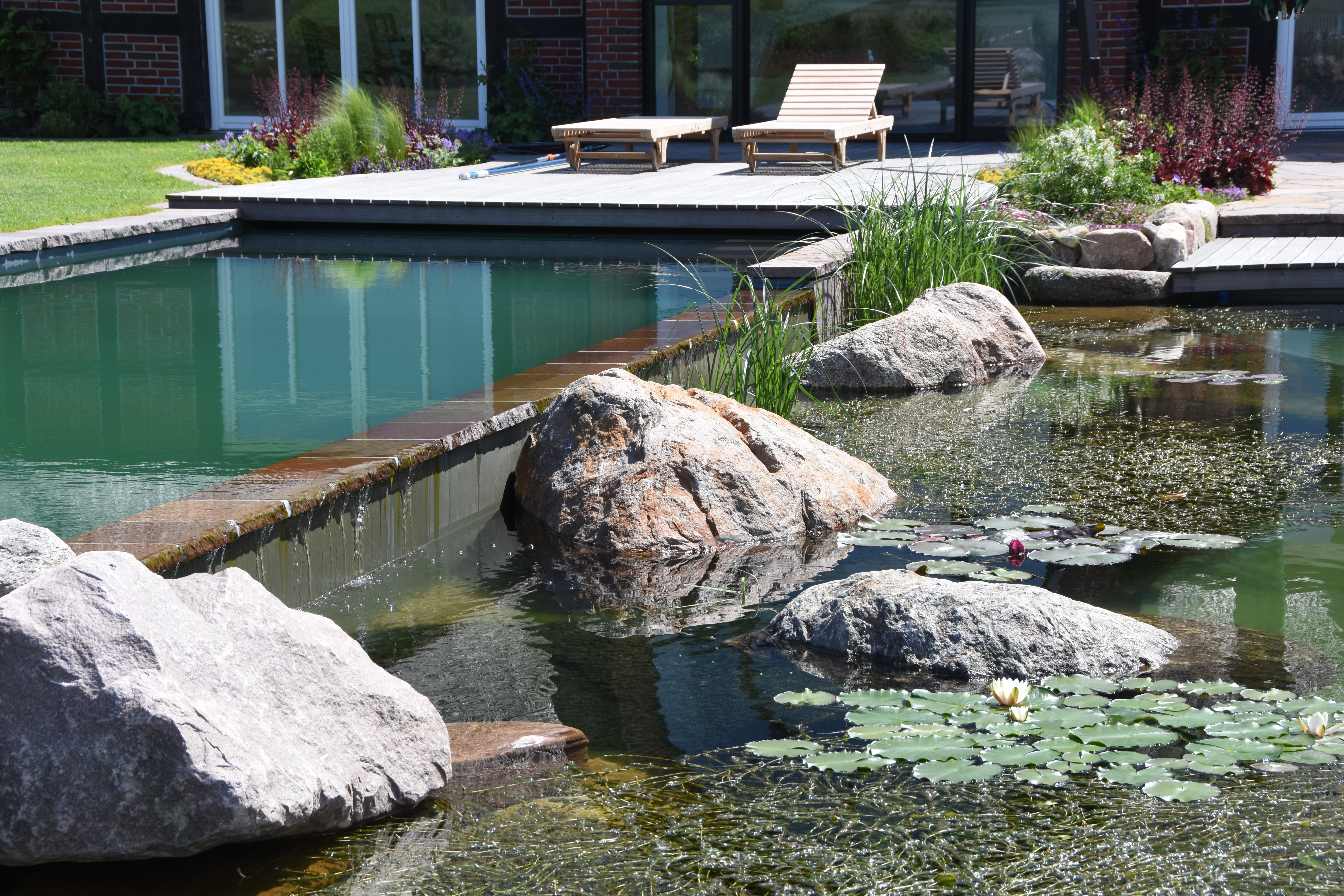 swimming-pond-and-living-pool-Grossenkneten-DE-detail