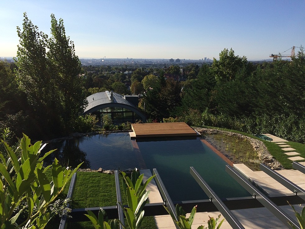 Swimming pool conversion to natural pool prevents demolition