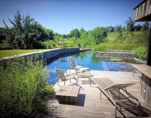 De Swimming Pond met regeneratiezone en zonnig terras