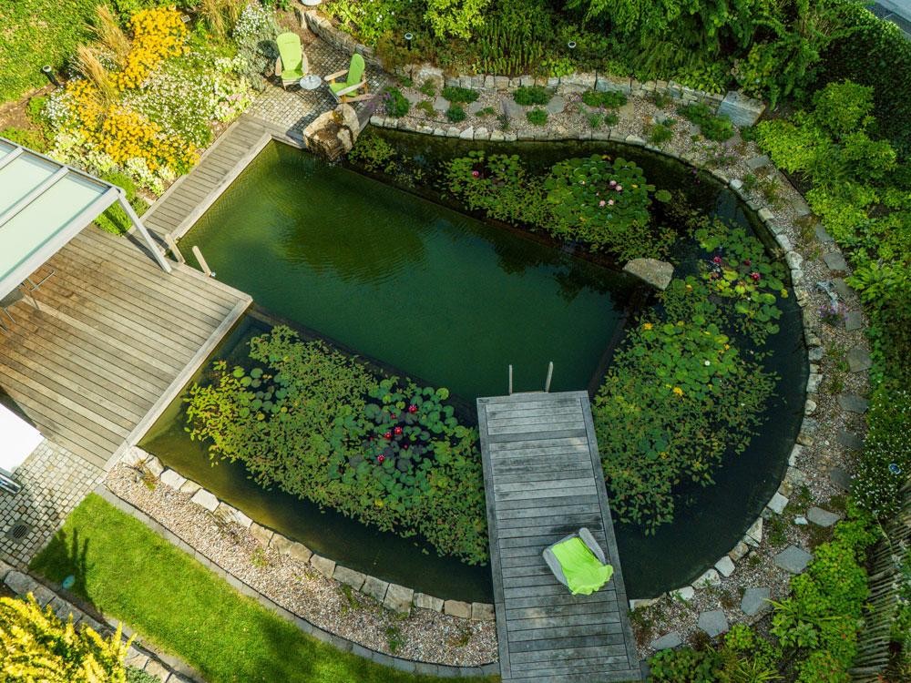 Zwemvijver van bovenaf met houten dek waterlelies en natuurlijke tuin