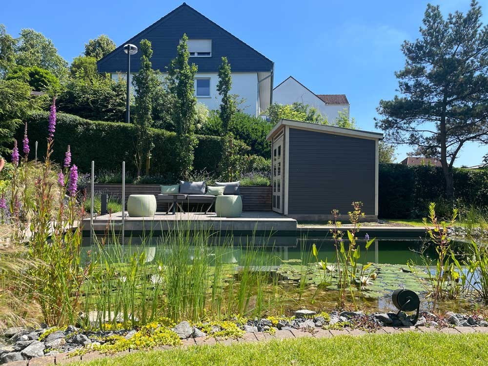 Zwemvijver met houten terras, tuinlounge en plantenzone in een zonnige achtertuin