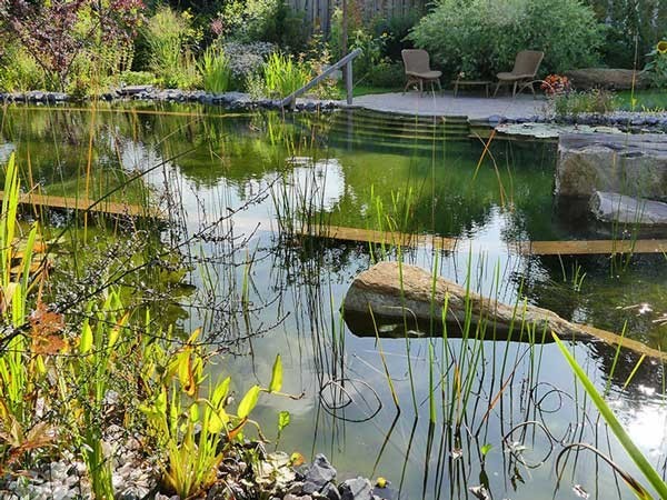 natuurlijk zwembad met planten en een houten terras ideaal om te ontspannen en af te koelen