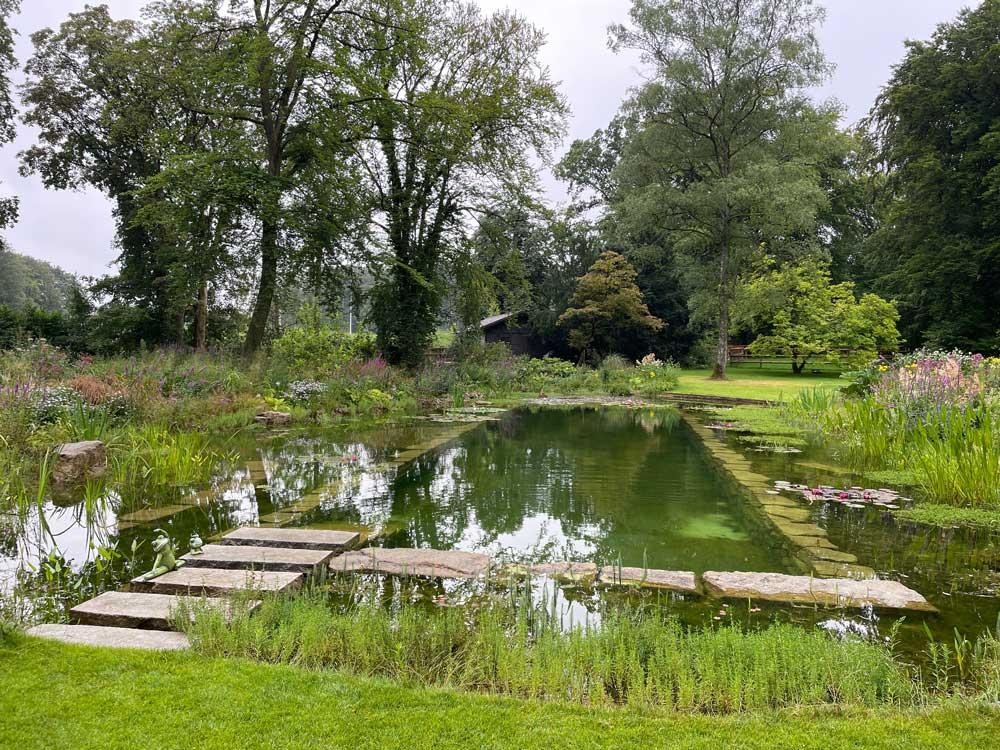 Zwemvijver met natuurlijke oever, waterplanten en stenen pad