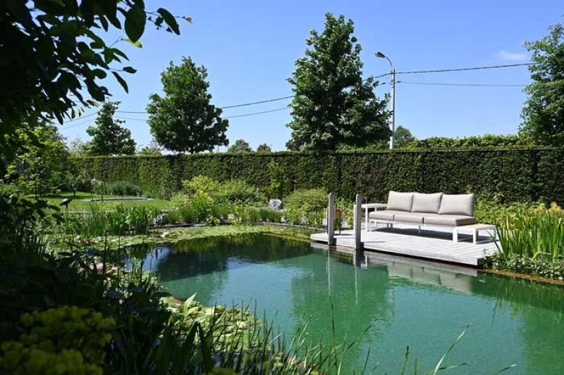 Een natuurlijk zwembad met een bank en uitzicht op een natuurlijke vijver