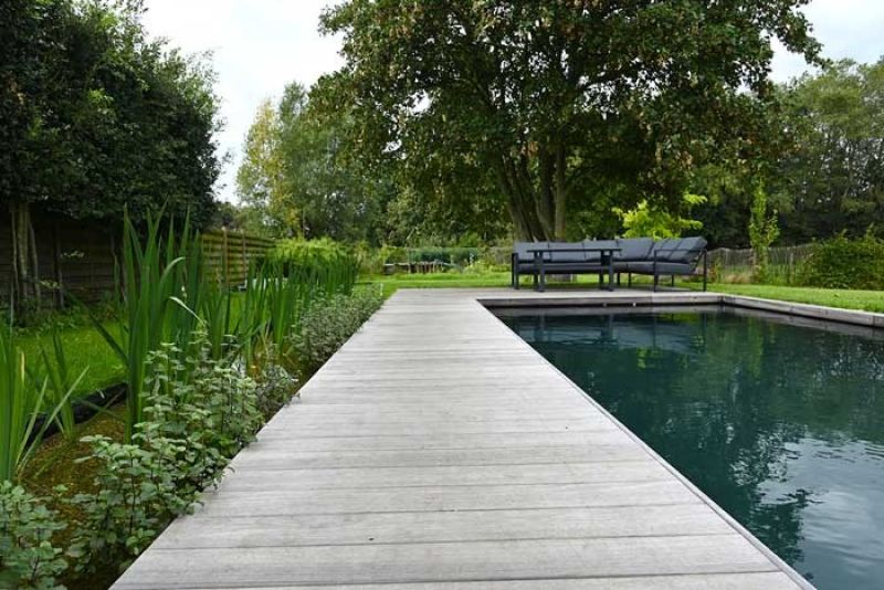 Natuurlijk zwembad met houten loopbrug en planten in de ondergaande zon