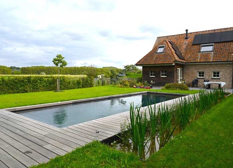 natuurlijk zwembad omgeven door natuur met bakstenen huis
